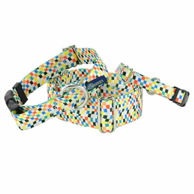 Indy Flag Martingale Dog Collar – EarthStyle 2 Hounds Design