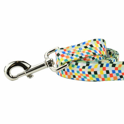 Indy Flag Dog Leash – EarthStyle 2 Hounds Design
