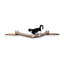 Cat Wall Bridge and Shelf Set Cat Bridge Catastrophic Creations