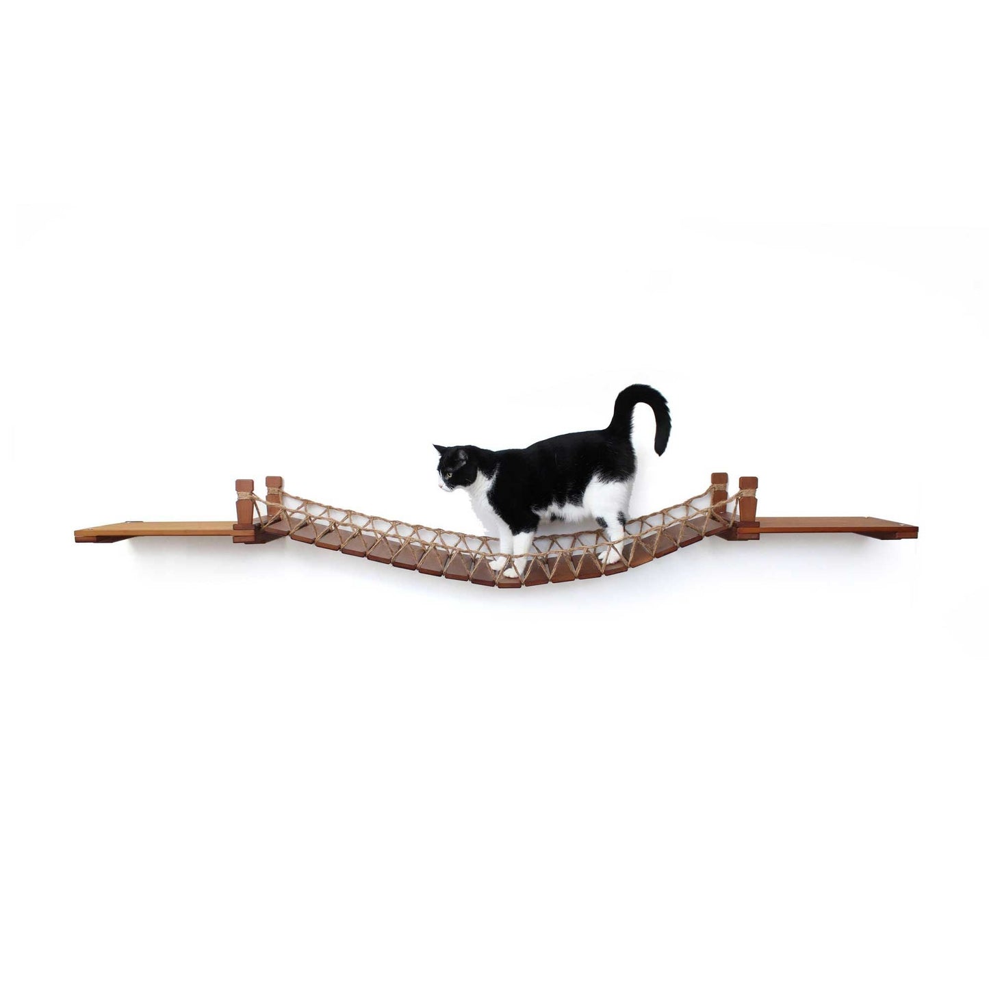 Cat Wall Bridge and Shelf Set Cat Bridge Catastrophic Creations