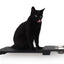 Wall Mounted Cat Feeding Shelf Cat shelves/bed Catastrophic Creations