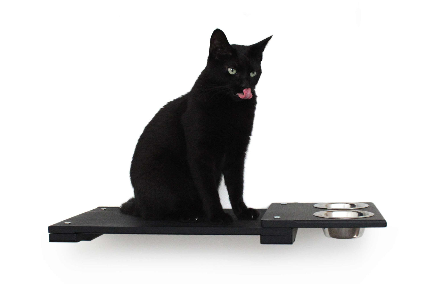 Wall Mounted Cat Feeding Shelf Cat shelves/bed Catastrophic Creations
