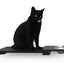 Wall Mounted Cat Feeding Shelf Standard Onyx Bamboo 18" Solid Shelf Cat shelves/bed Catastrophic Creations