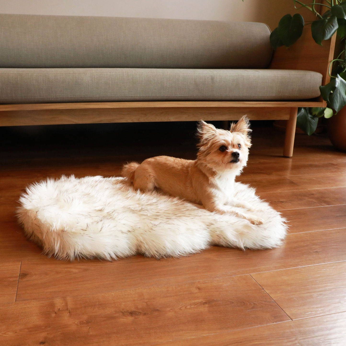 PupRug by Paw.com® Faux Fur Orthopedic Dog Bed - Curve White with Brown Accents Small (30" L x 20" W) Dog Beds Paw.com