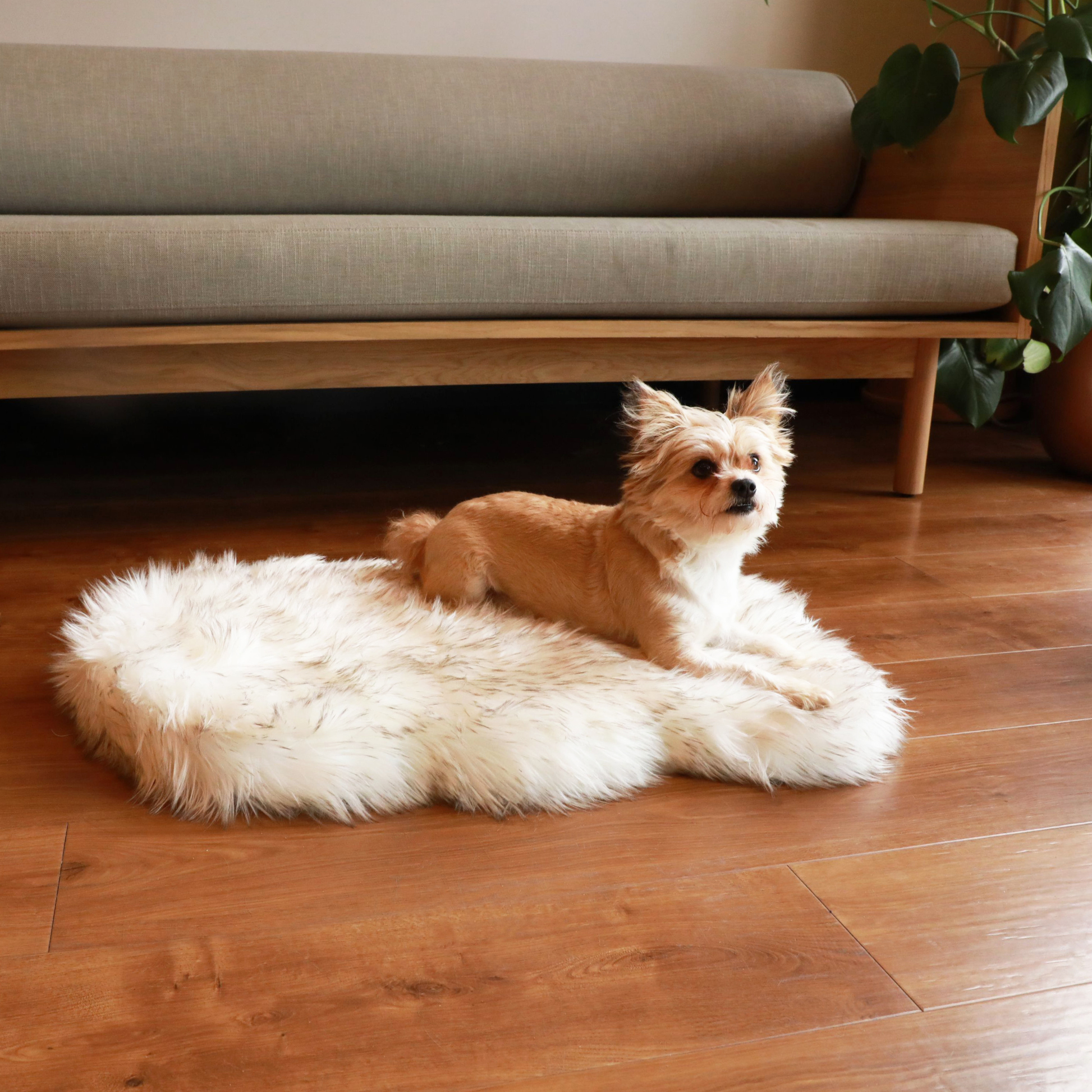 PupRug by Paw.com® Faux Fur Orthopedic Dog Bed - Curve White with Brown Accents Small (30" L x 20" W) Dog Beds Paw.com