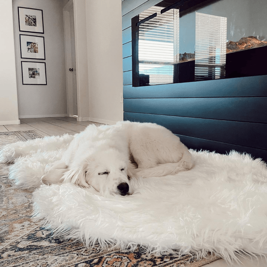 PupRug by Paw.com® Faux Fur Orthopedic Dog Bed - Curve Polar White Dog Beds Paw