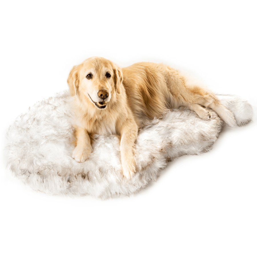 PupRug by Paw.com® Faux Fur Orthopedic Dog Bed - Curve White with Brown Accents Dog Beds Paw.com