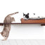 The Cat Nest Bed English Chestnut Bamboo Gray Plush 34" Escape Hatch Cat shelves/bed Catastrophic Creations