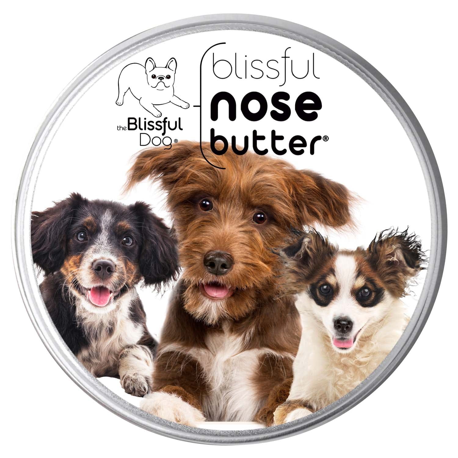 3 Cute Puppies Nose Butter NOSE BUTTER® The Blissful Dog