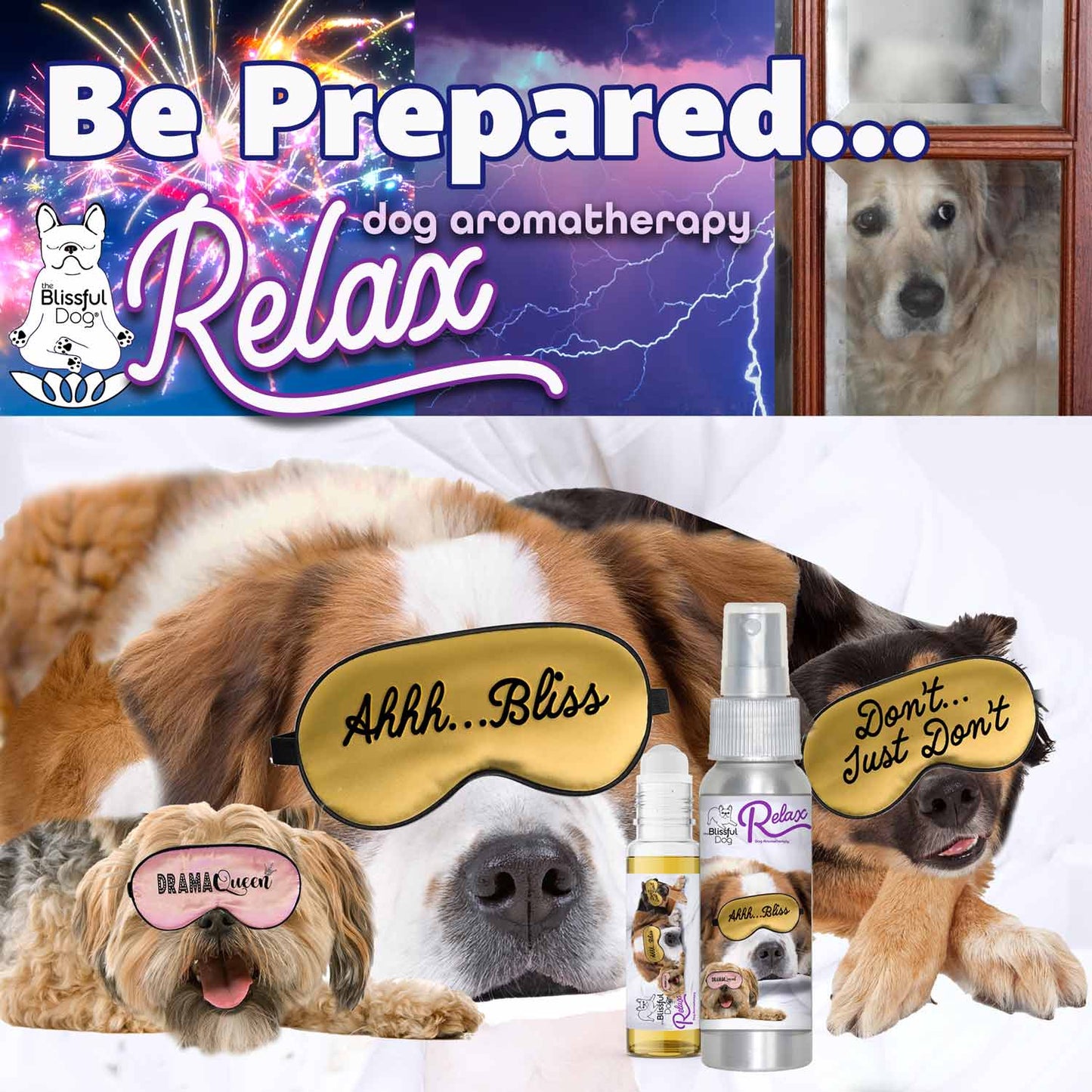 3 Cute Puppies Relax Dog Aromatherapy DOG AROMATHERAPY The Blissful Dog