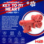 Key to My Heart Ultra Durable Nylon Dog Chew Toy Nylon Dog Toys SodaPup/True Dogs, LLC