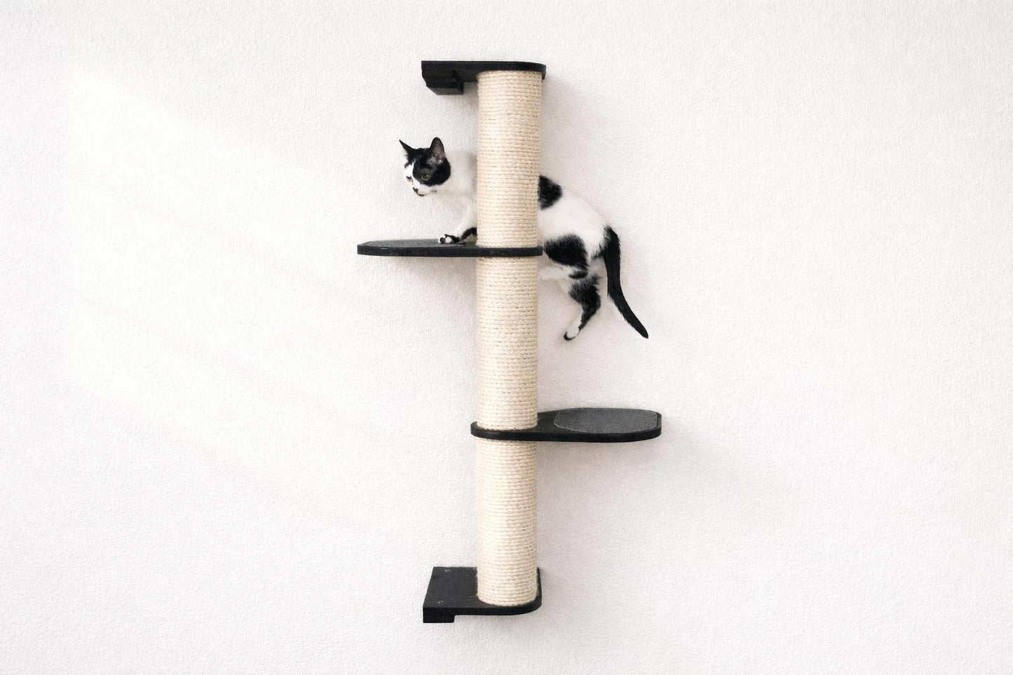 Wall Mounted Cat Climbing Pole - Sisal Onyx Bamboo 3-Tier Leaf Shelf Charcoal Cork Pad Cat Scratcher Catastrophic Creations
