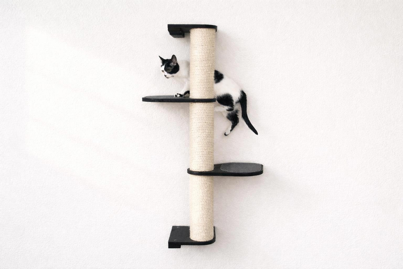 Wall Mounted Cat Climbing Pole - Sisal Onyx Bamboo 3-Tier Leaf Shelf Charcoal Cork Pad Cat Scratcher Catastrophic Creations