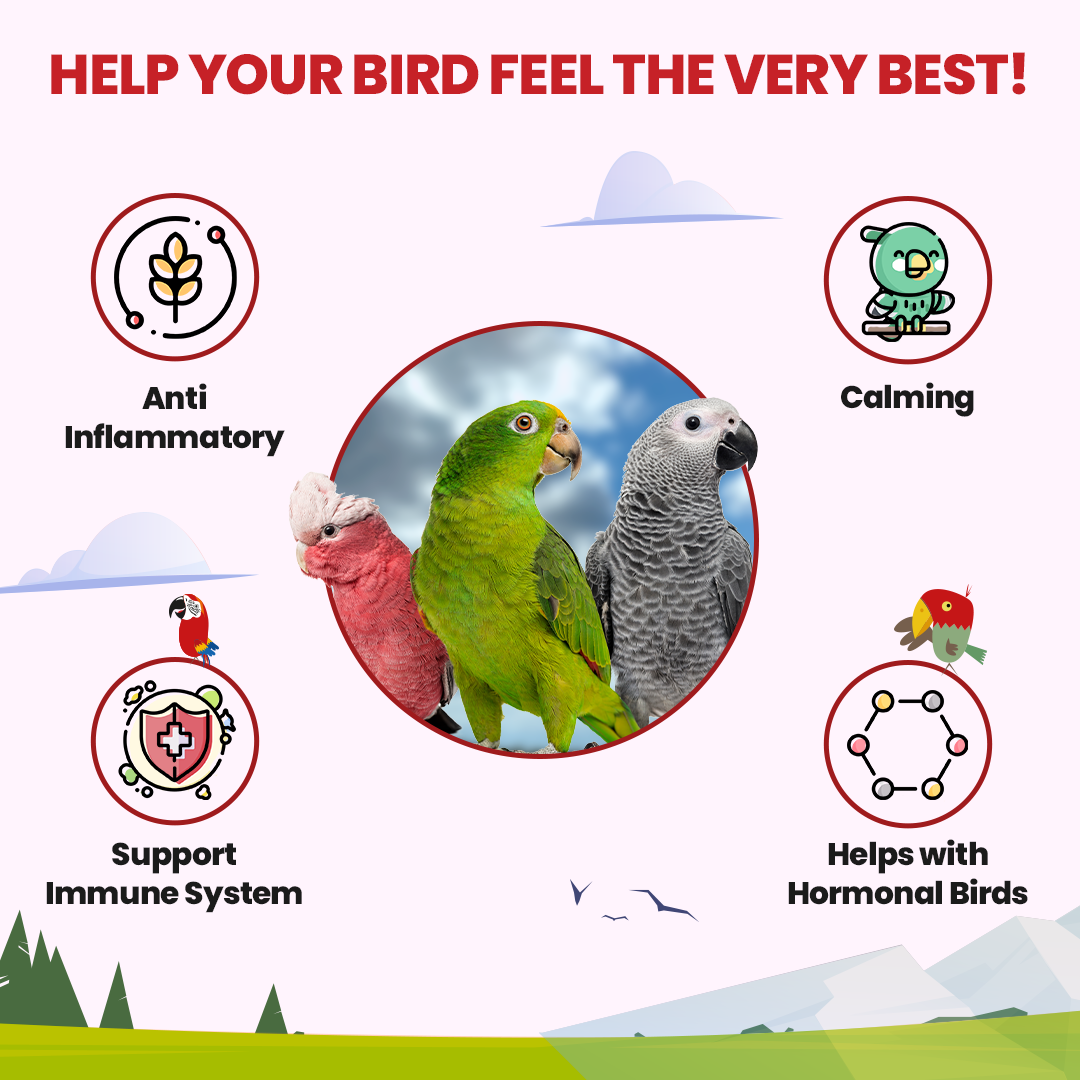 Halcyon Parrot Tea Parrot Tea Bird Street Bistro