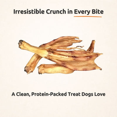 Freezbone Whole Duck Feet Dental Treats for Dogs - Human Grade - Single Ingredient Dog Treats Freezbone