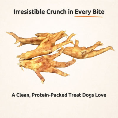 Freezbone Whole Chicken Feet Dental Treats for Dogs - Human Grade - Single Ingredient Dog Treats Freezbone