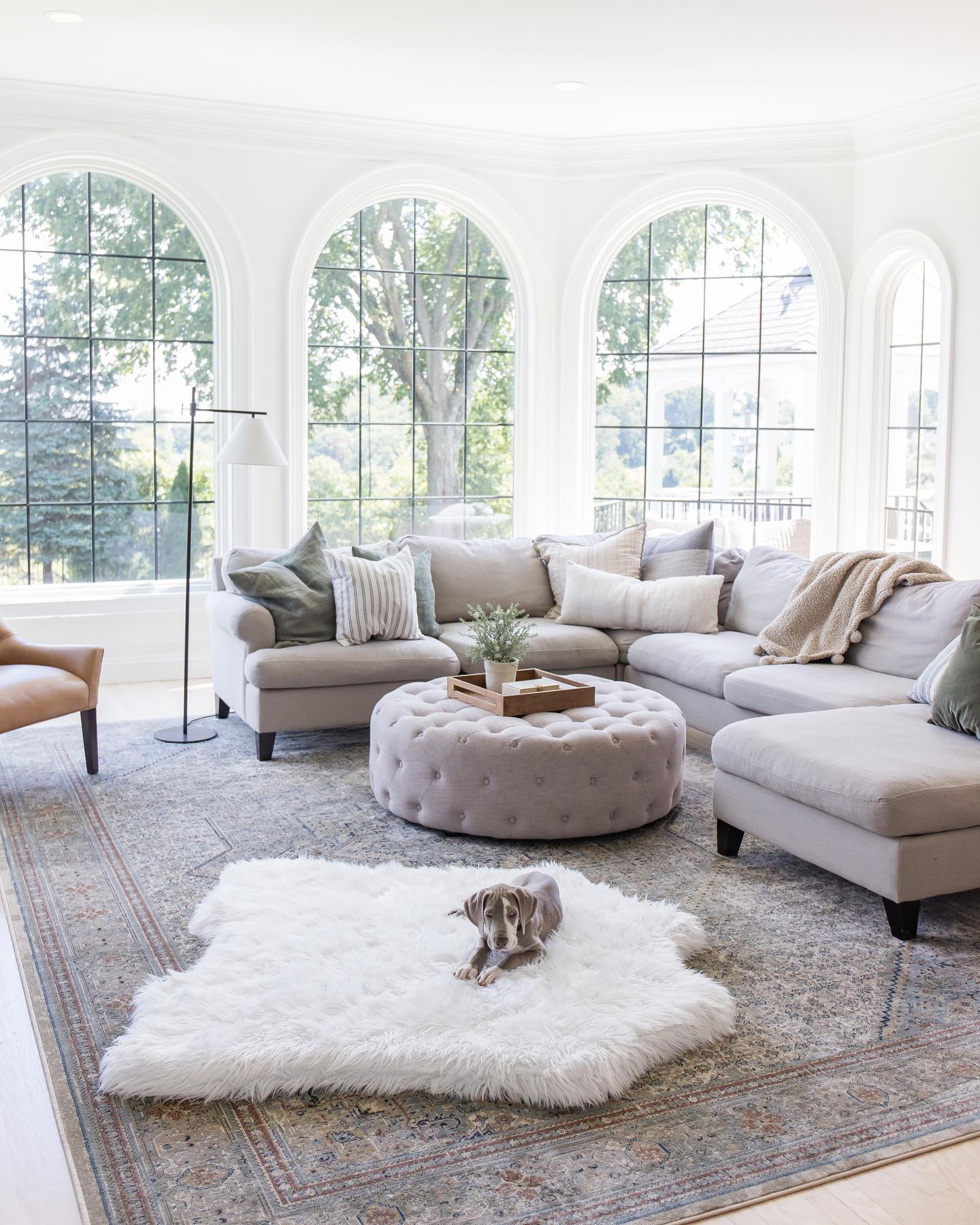 PupRug® Animal Print Memory Foam Dog Bed - Polar Bear Faux Hide Dog Beds Paw