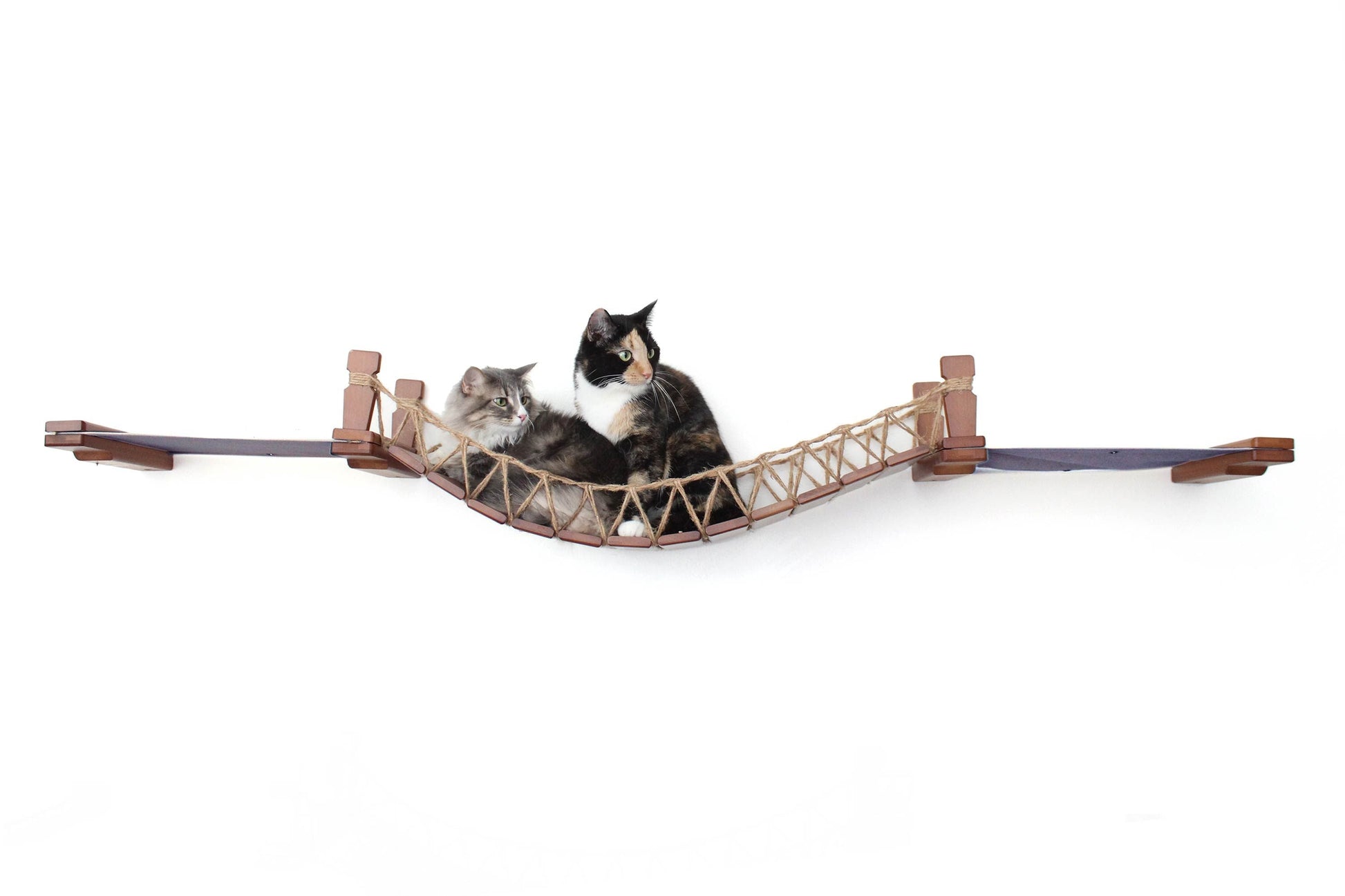 Double Cat Hammock and Climbing Bridge Combo Cat Bridge Catastrophic Creations