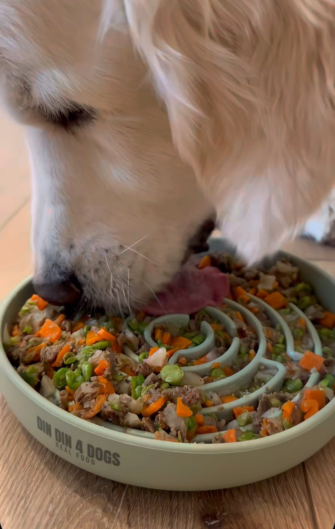 Bountiful Beef - case includes 24, 8oz meals Dog Food Din Din 4 Dogs