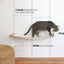 Dog Proof Cat Feeder - Wall-Mounted - Raised Elevated Natural Bamboo Natural Canvas 32" Cat Hammock Catastrophic Creations