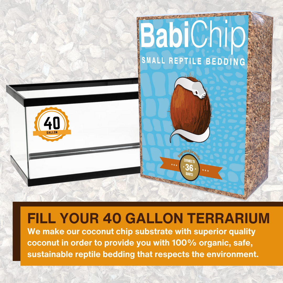 BabiChip Premium Small Sized Coconut Chips; Ready to Use Substrate ReptiChip LLC