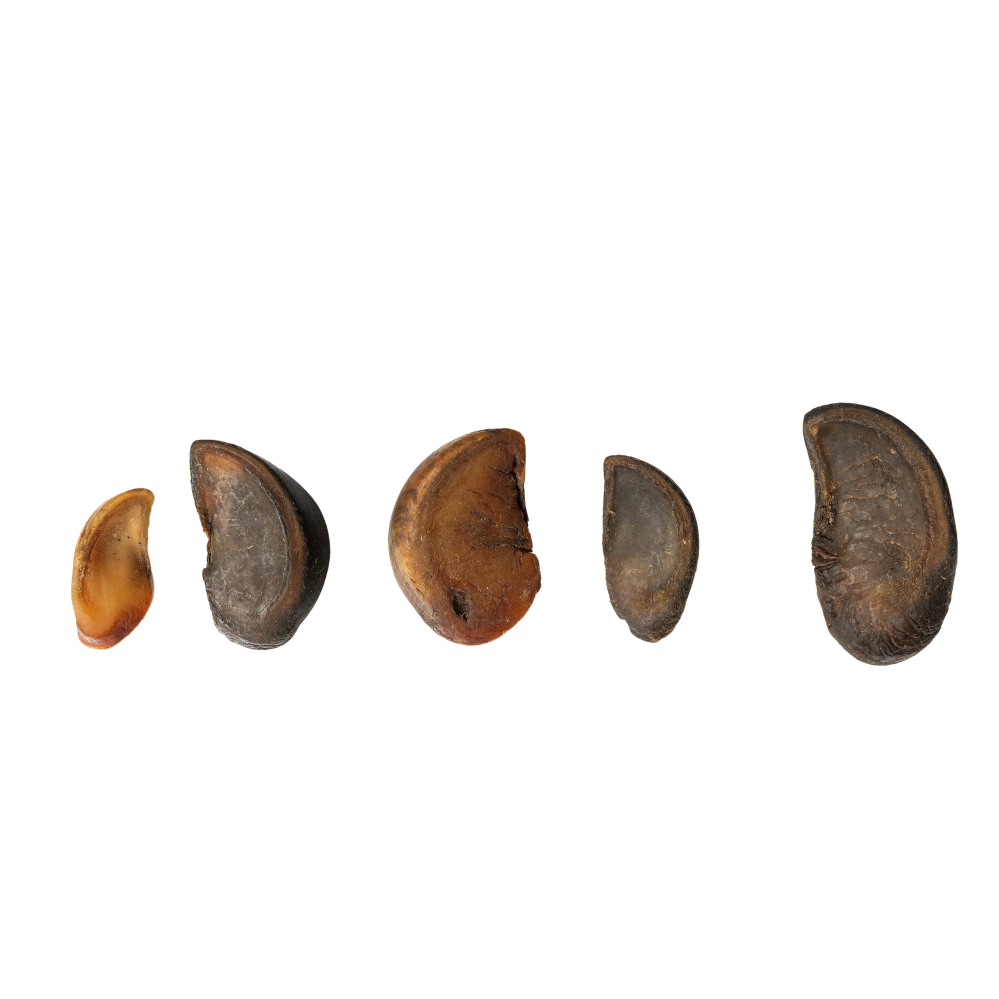 All-Natural Cow Hooves Dog Chews – Premium Crunchy Treats for Dental Health – (25/Case) Dog Treats American Pet Supplies