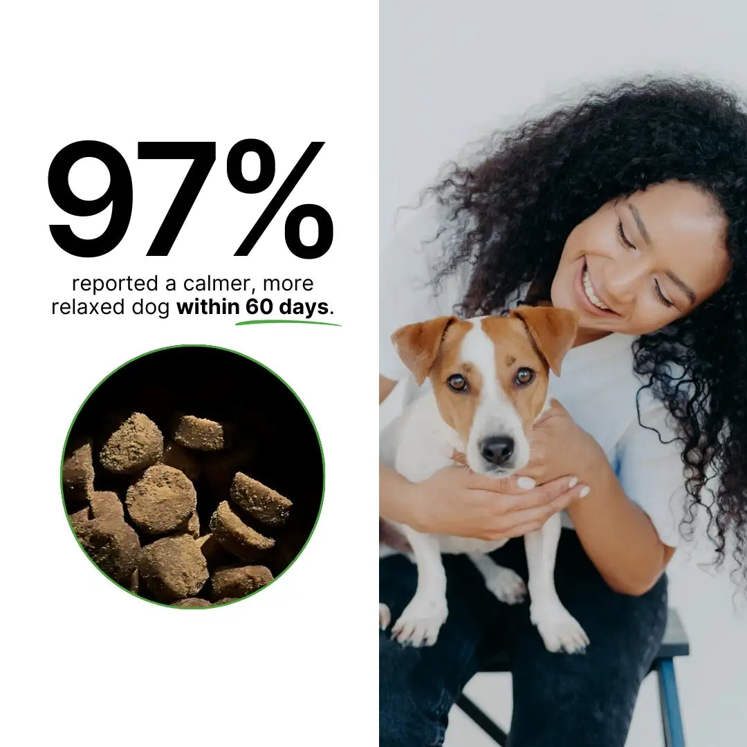 Calming Support With Hemp For Dogs 9oz Jar (120 Count) Dog Soft Chews Dogline