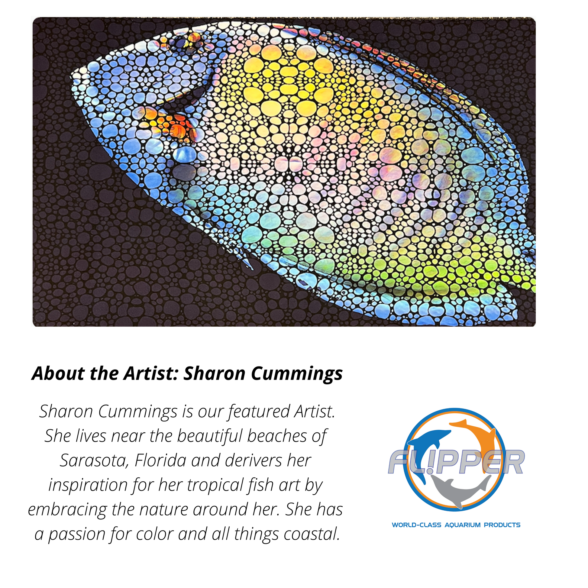 Flipper Aquarium Mat with Tang Artwork Flipper Aquarium Products