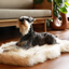 PupRug by Paw.com® Faux Fur Orthopedic Dog Bed - Curve White with Brown Accents Dog Beds Paw.com