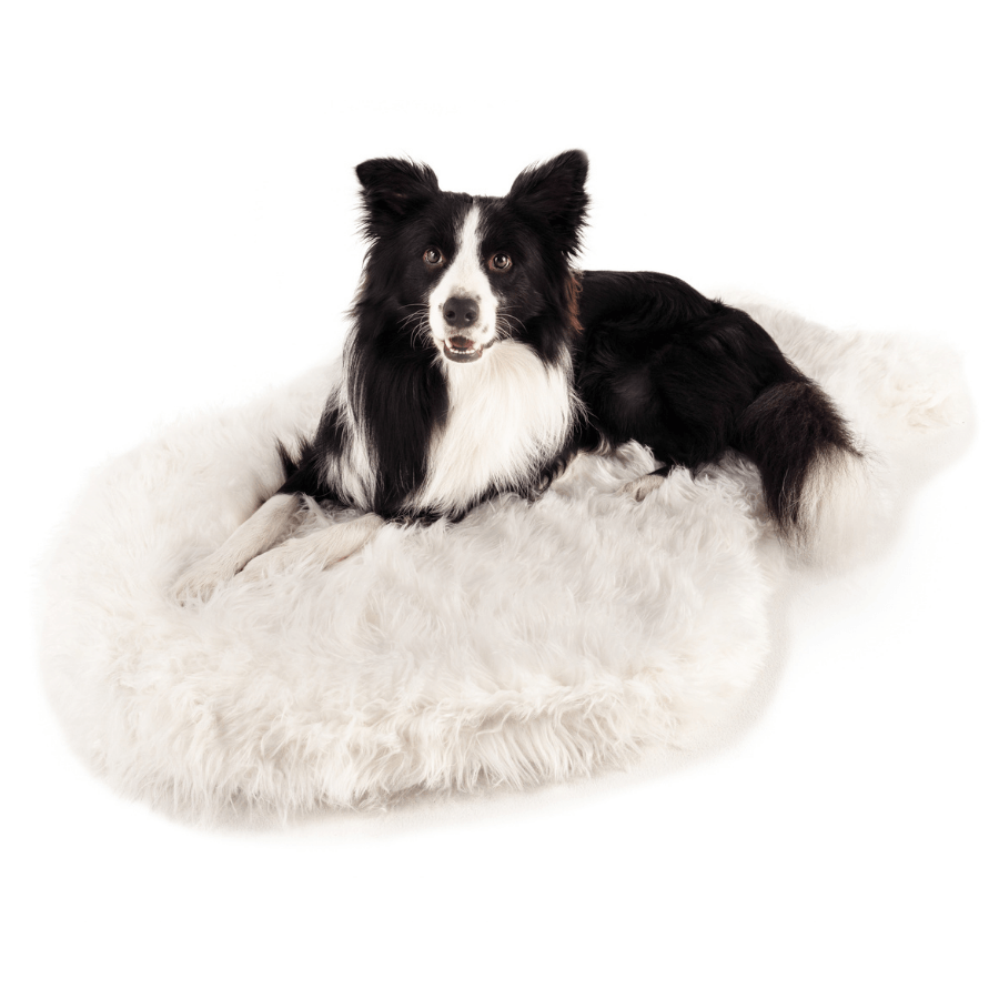 PupRug by Paw.com® Faux Fur Orthopedic Dog Bed - Curve Polar White Dog Beds Paw