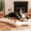 PupRug® Animal Print Memory Foam Dog Bed - Brown Faux Cowhide Dog Beds Paw.com