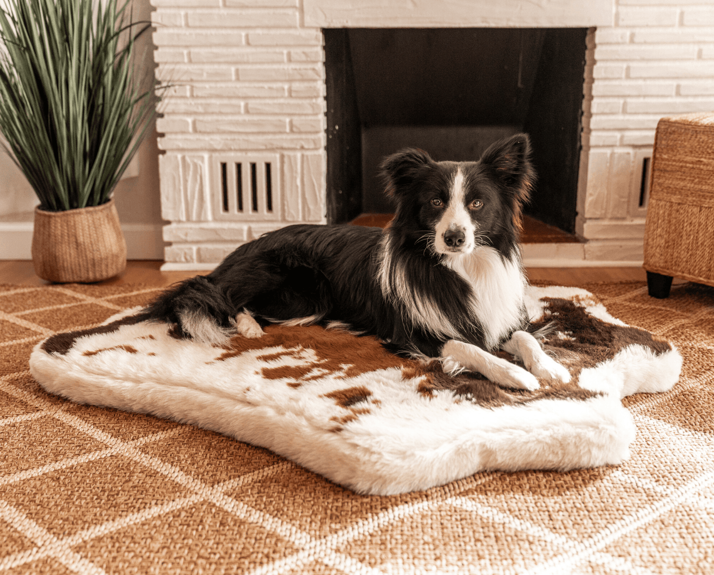 PupRug® Animal Print Memory Foam Dog Bed - Brown Faux Cowhide Dog Beds Paw.com