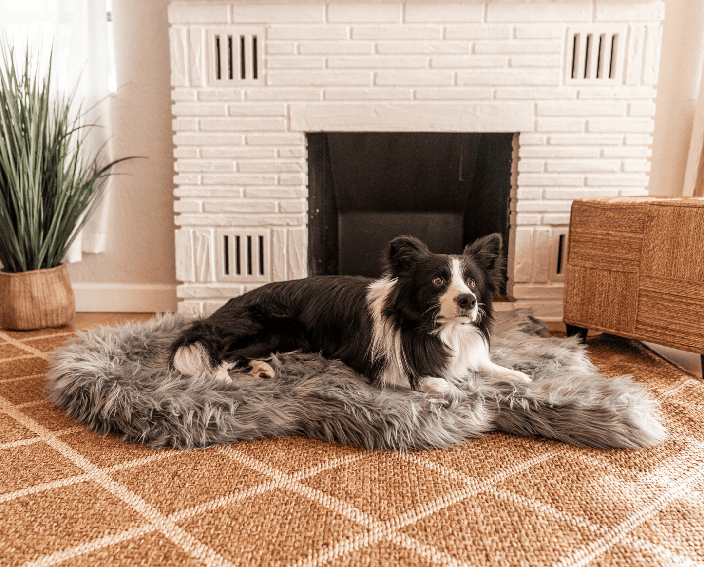 PupRug by Paw.com® Faux Fur Orthopedic Dog Bed - Curve Charcoal Grey Dog Beds Paw