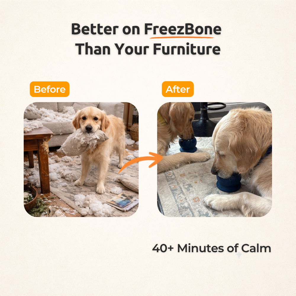 Freezball - Durable Fillable Dog Chew Bone Freezbone