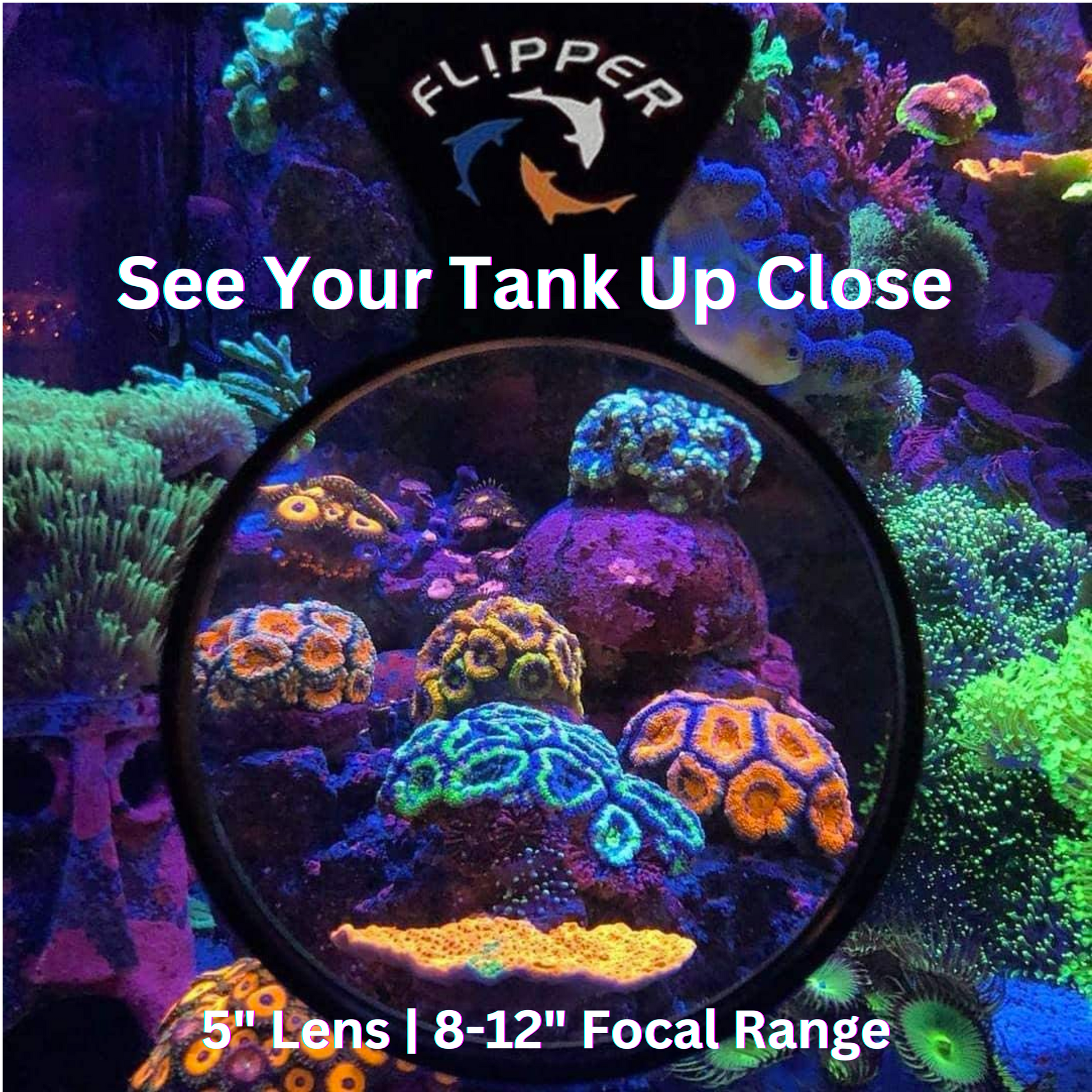 DeepSee Viewer Black Max 5" Aquarium Viewer Flipper Aquarium Products
