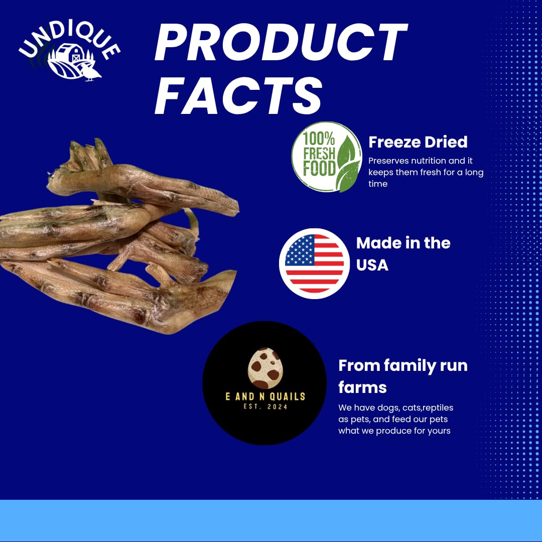 Freeze-Dried Duck Feet for Dogs, Natural Joint Support, 10 Count - Premium Quality Made in USA Quailz.com by Undique LLC