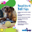 Squeak Ball - Durable Squeaky Dog Toy, Floats, Chew Toy | USA Made Rubber Dog Toys SodaPup/True Dogs, LLC