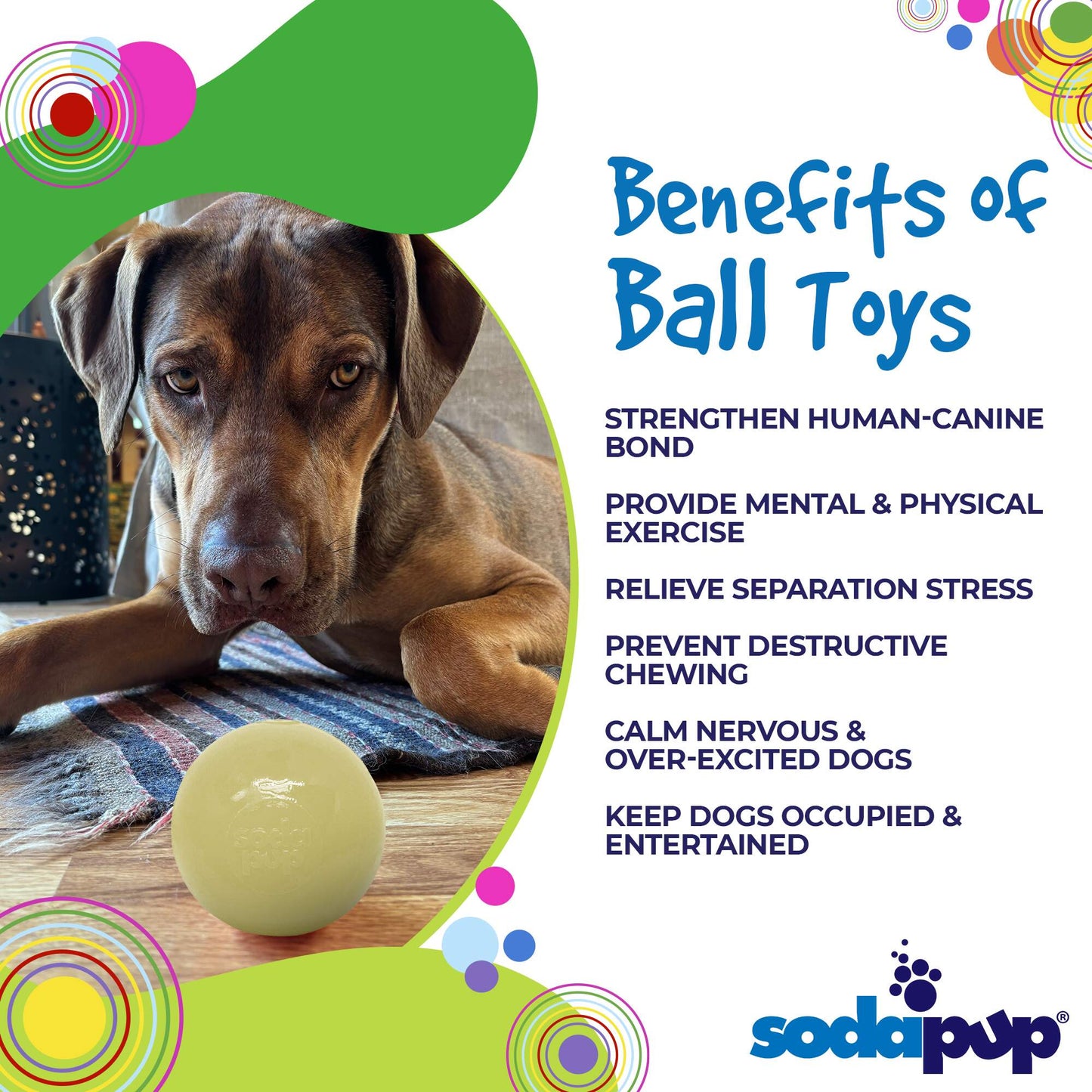 Squeak Ball - Durable Squeaky Dog Toy, Floats, Chew Toy | USA Made Rubber Dog Toys SodaPup/True Dogs, LLC