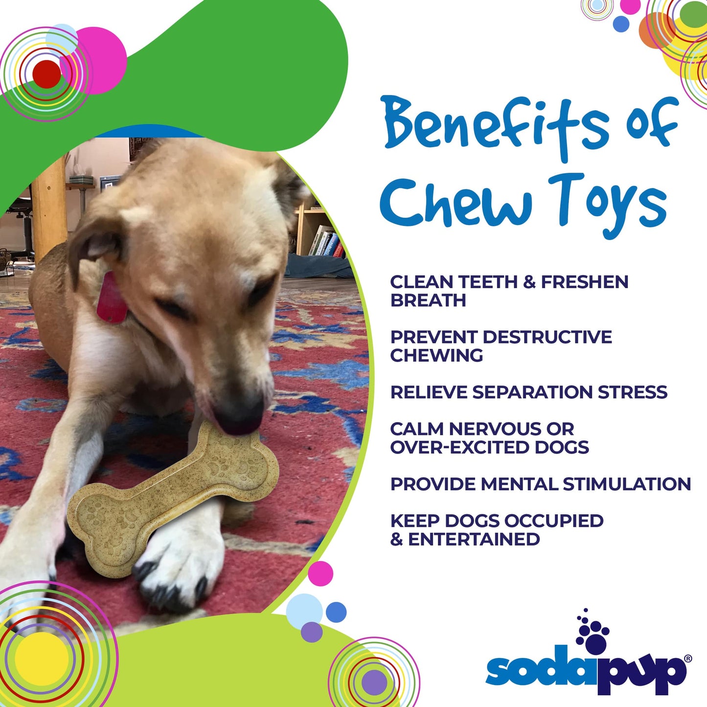 Bone eChew Ultra Durable Nylon Dog Chew Toy Nylon Dog Toys SodaPup/True Dogs, LLC