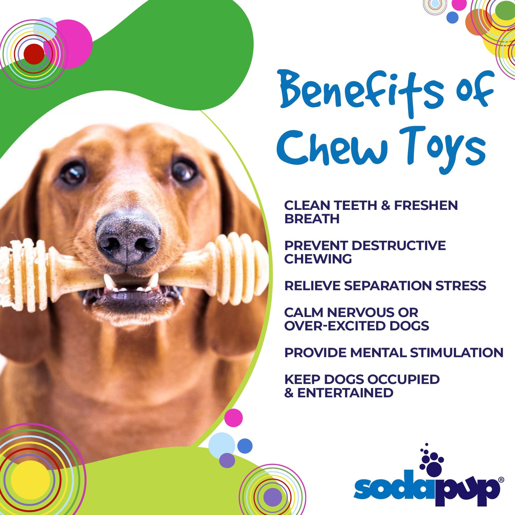 Honey Bone eChew Ultra Durable Nylon Dog Chew Toy Nylon Dog Toys SodaPup/True Dogs, LLC