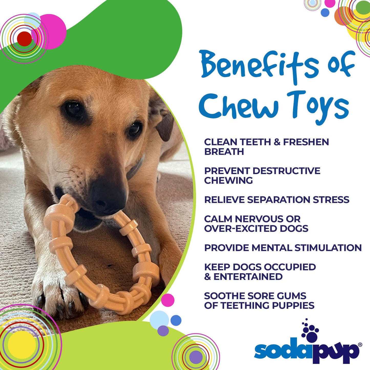 Chicken Flavored Teething Ring for Puppies & Aggressive Chewers | USA Made Nylon Dog Toys SodaPup/True Dogs, LLC