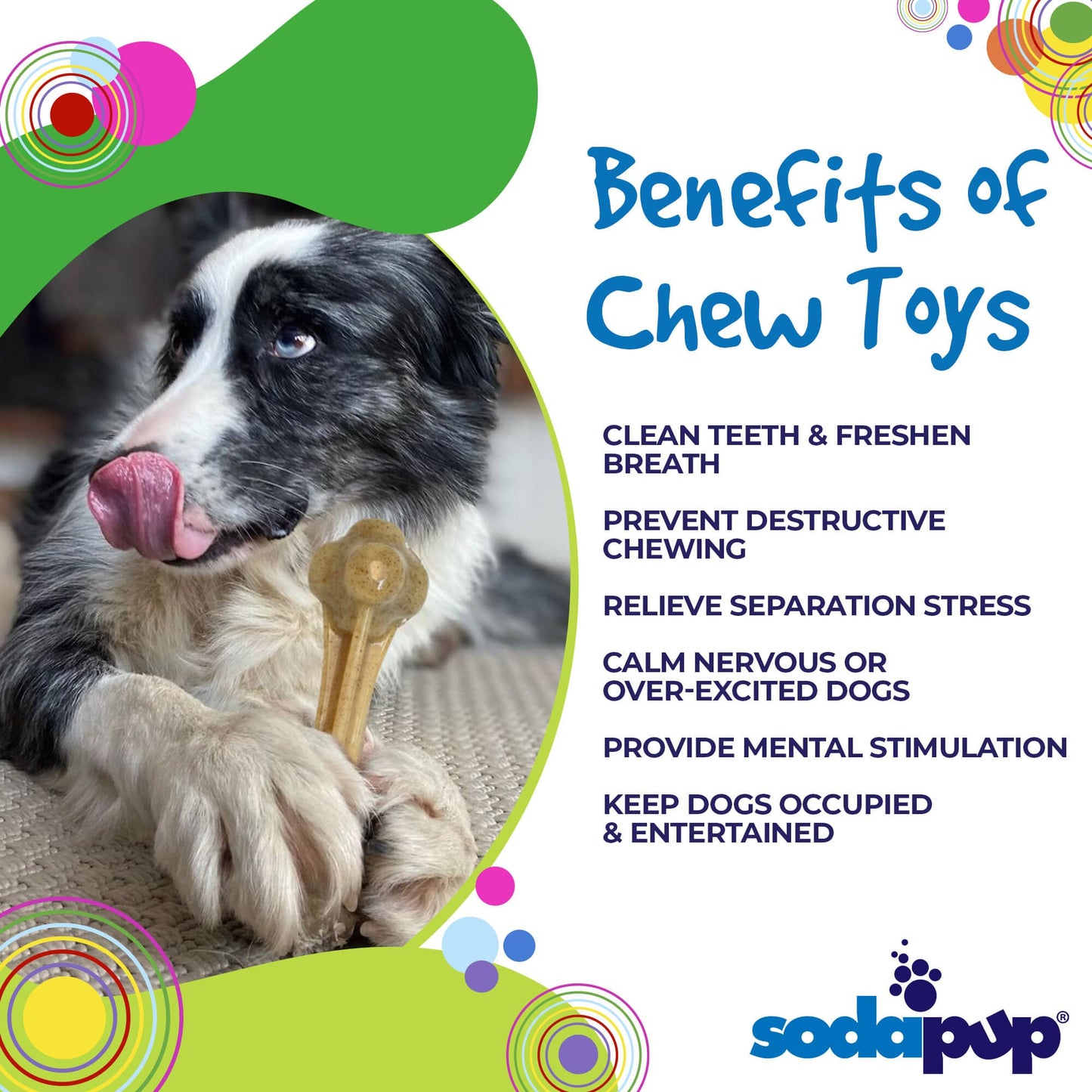 Knuckle Bone Nylon Dog Chew Toy for Aggressive Chewers | Made in USA Nylon Dog Toys SodaPup/True Dogs, LLC