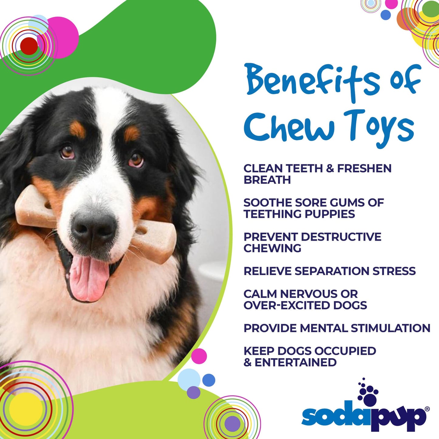 MOD Bone Nylon Dog Chew Toy for Aggressive Chewers | USA Made Nylon Dog Toys SodaPup/True Dogs, LLC