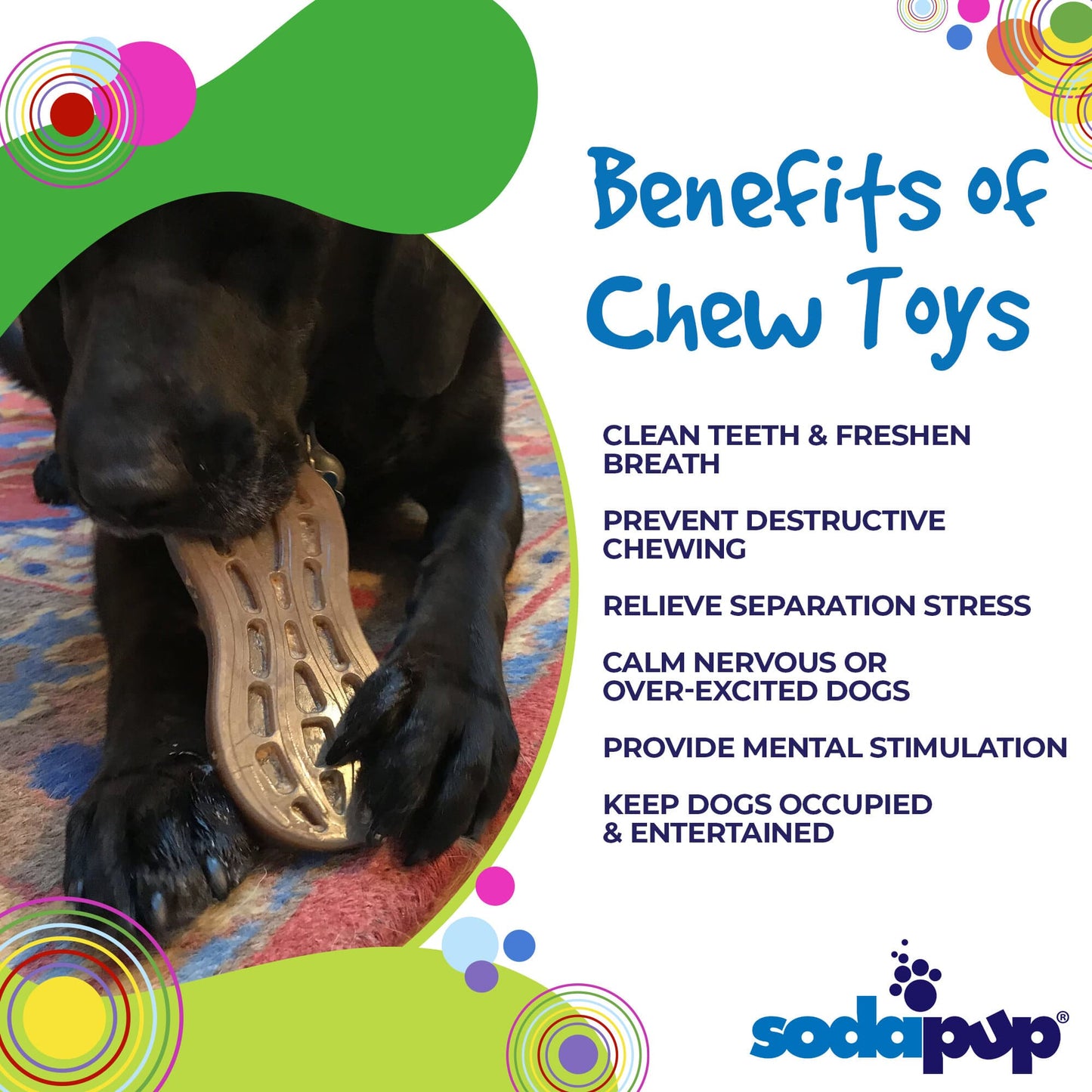Peanut Nylon Dog Chew Toy | Ultra-Durable for Aggressive Chewers | SodaPup Nylon Dog Toys SodaPup/True Dogs, LLC
