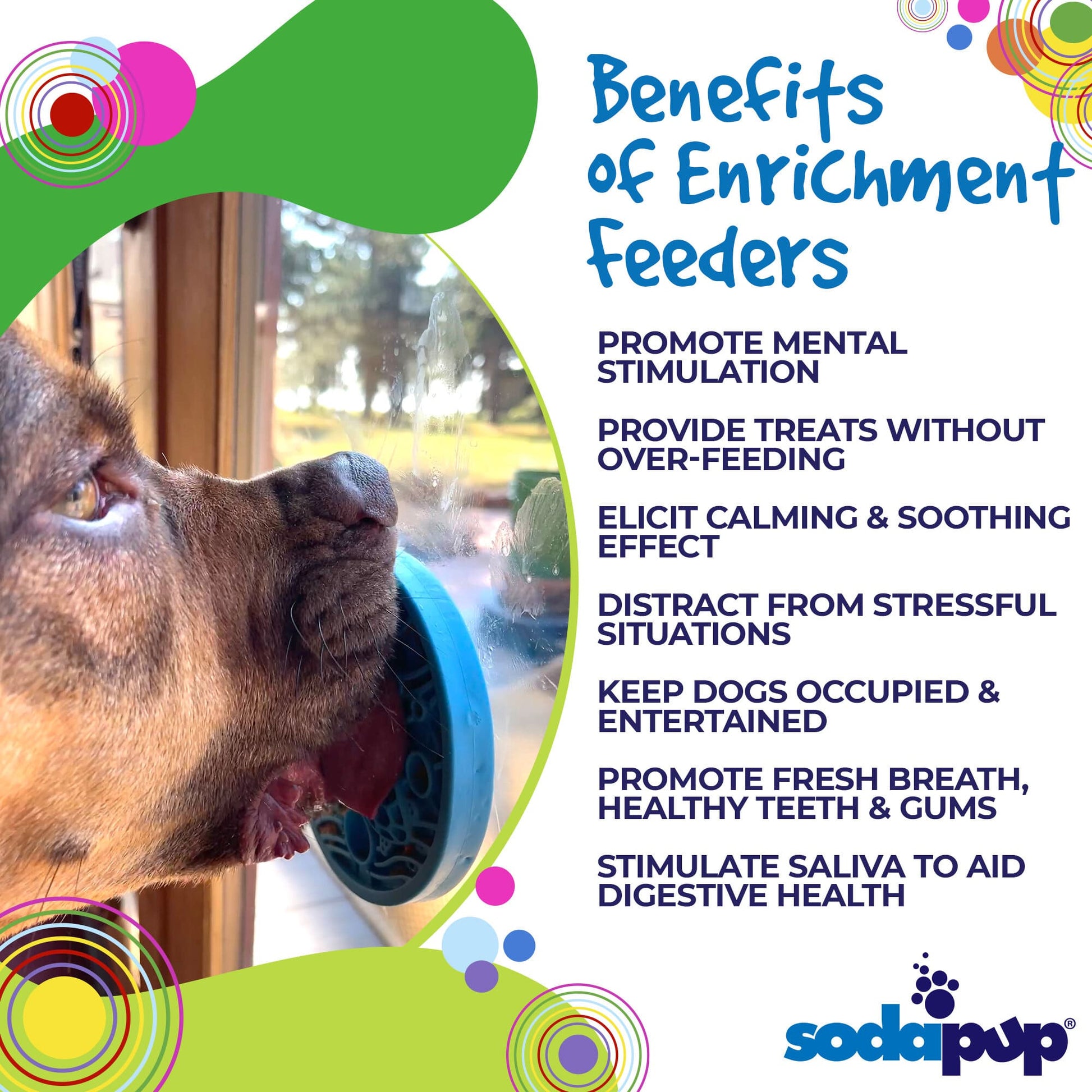 Turtle eMat-Mini Lick Mat with Suction Cups - Small Dogs & Cats | USA EMAT SodaPup/True Dogs, LLC