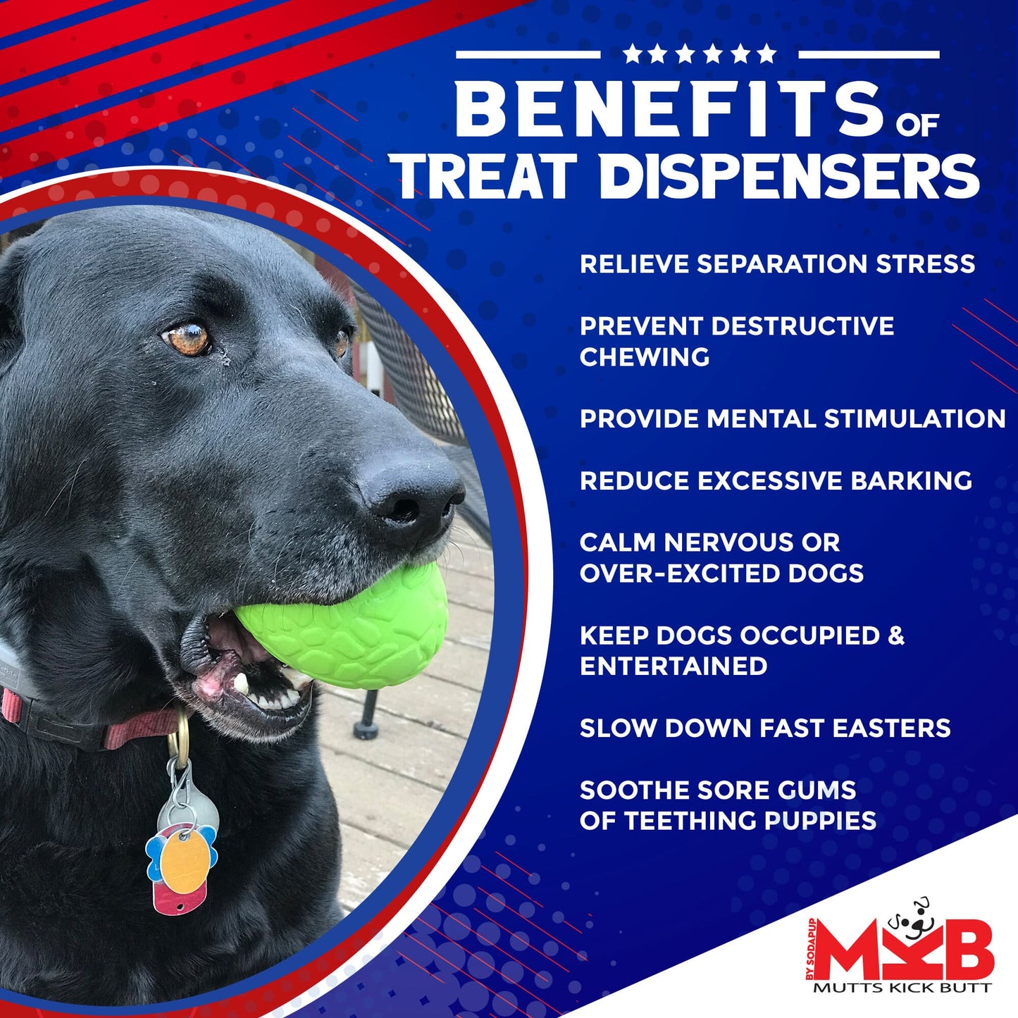 Dinosaur Egg eDispenser Durable Rubber Chew Toy & Treat Dispenser Rubber Dog Toys SodaPup/True Dogs, LLC