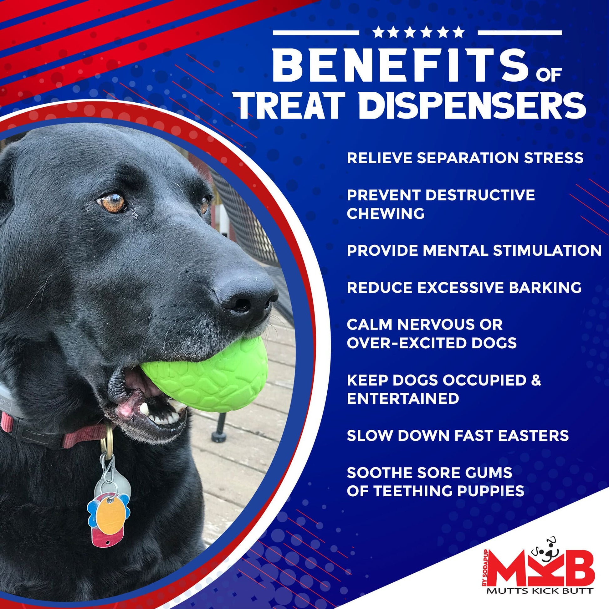 Dinosaur Egg eDispenser Durable Rubber Chew Toy & Treat Dispenser Rubber Dog Toys SodaPup/True Dogs, LLC