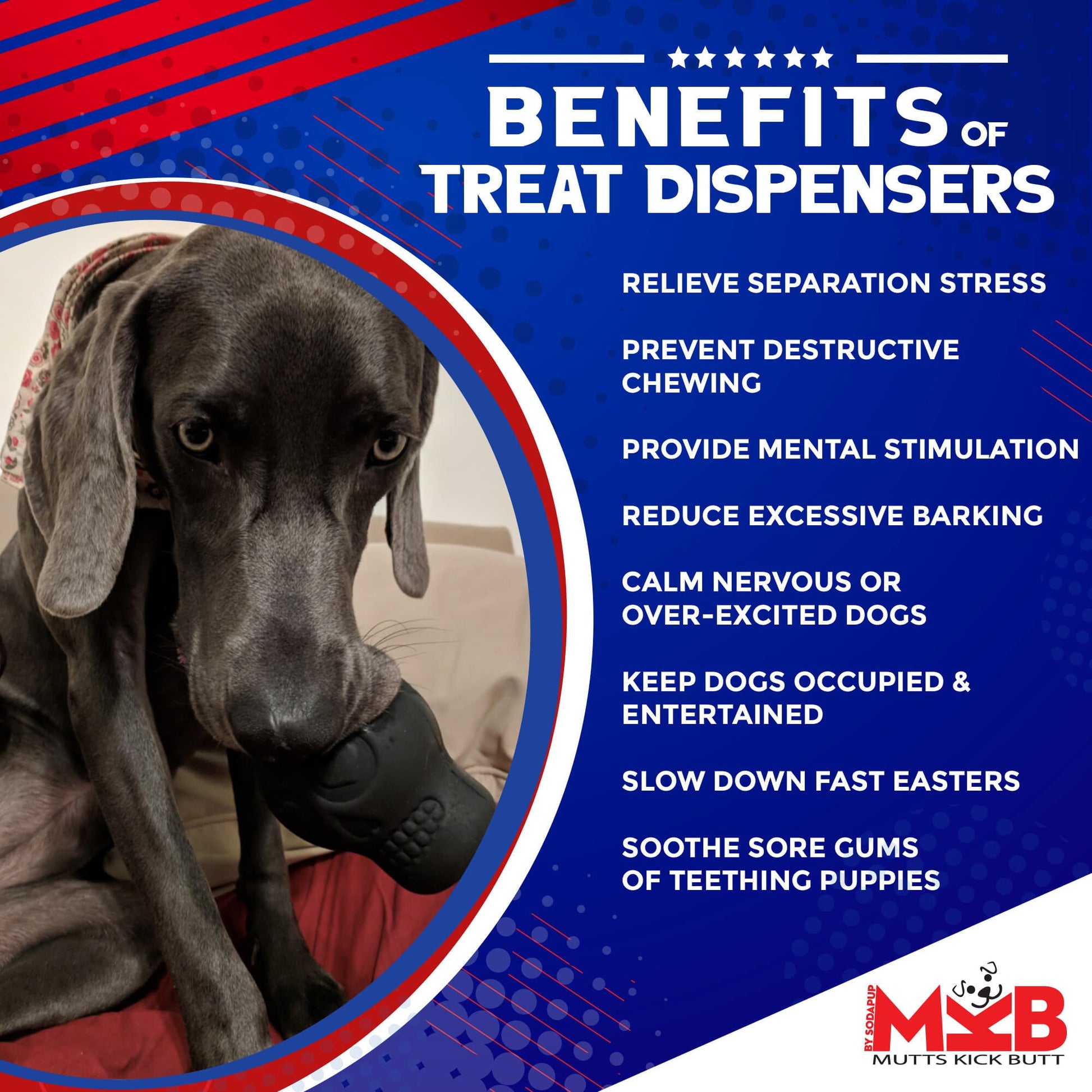 Magnum Sugar Skull Dog Chew Toy & Treat Dispenser - USA Made | SodaPup Rubber Dog Toys SodaPup/True Dogs, LLC