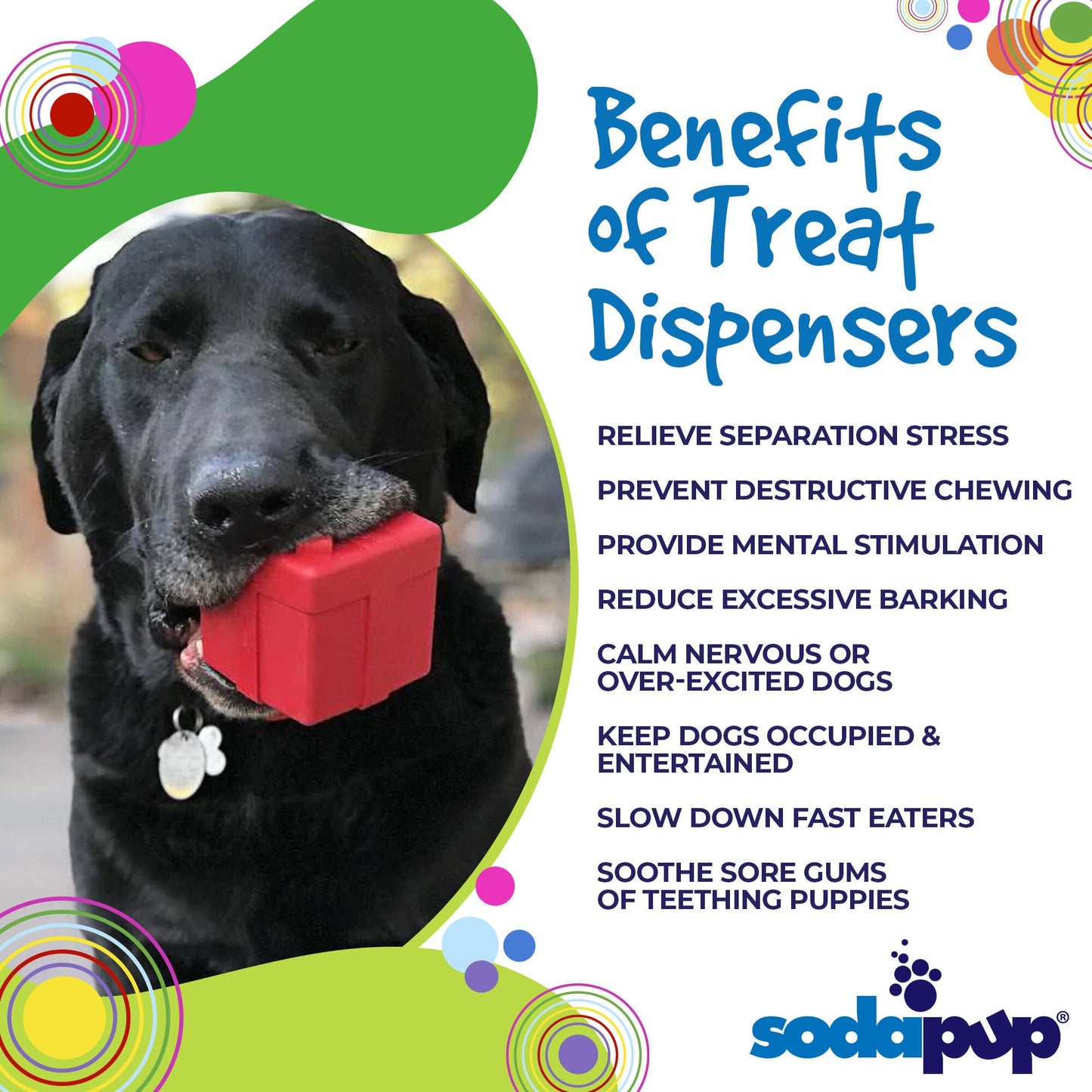 Gift Box eDispenser Durable Rubber Chew Toy & Treat Dispenser Rubber Dog Toys SodaPup/True Dogs, LLC