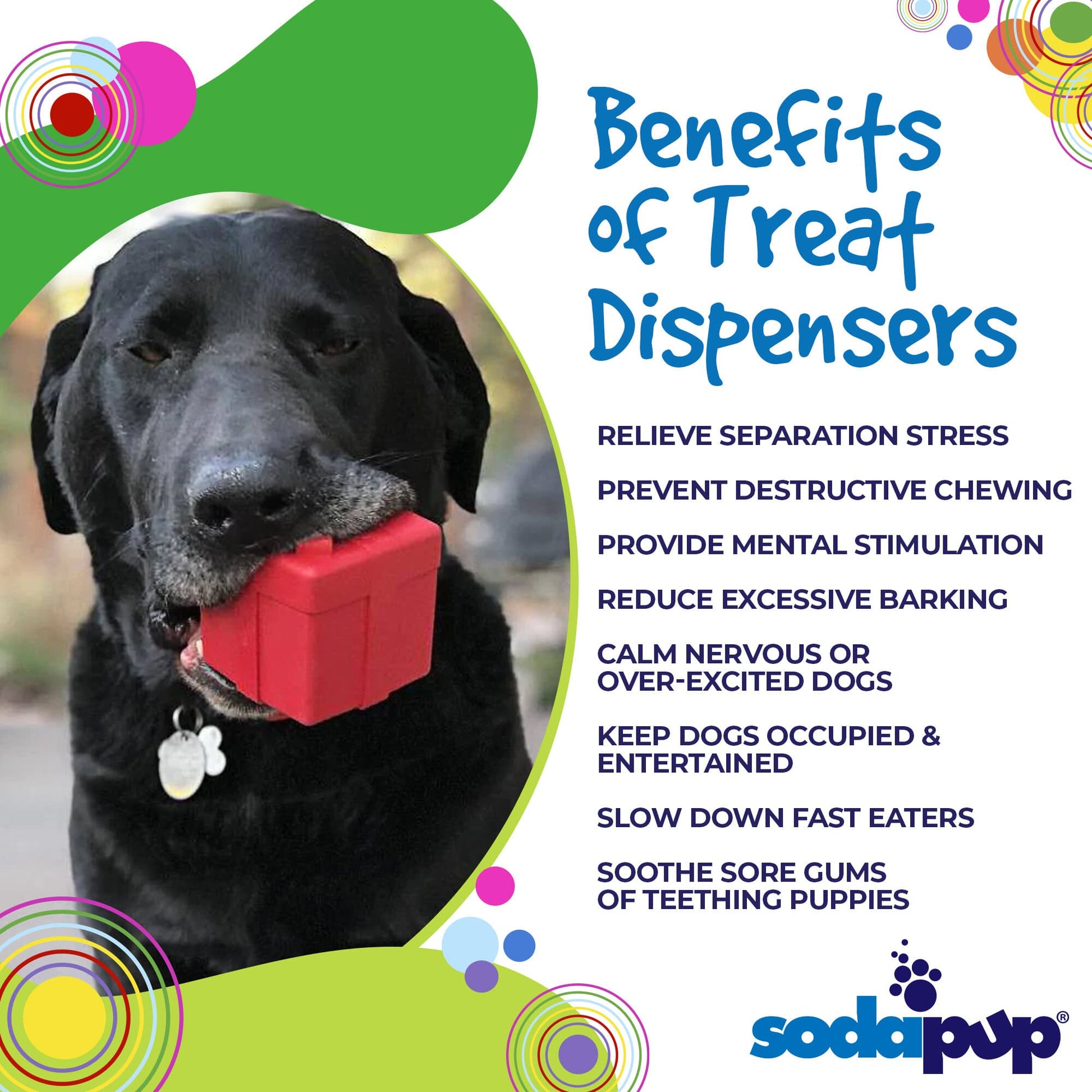 Gift Box eDispenser Durable Rubber Chew Toy & Treat Dispenser Rubber Dog Toys SodaPup/True Dogs, LLC